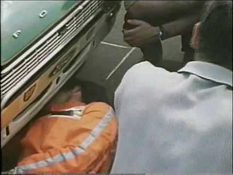 Youtube Vorschau - Video ID q0AcLytMEIo